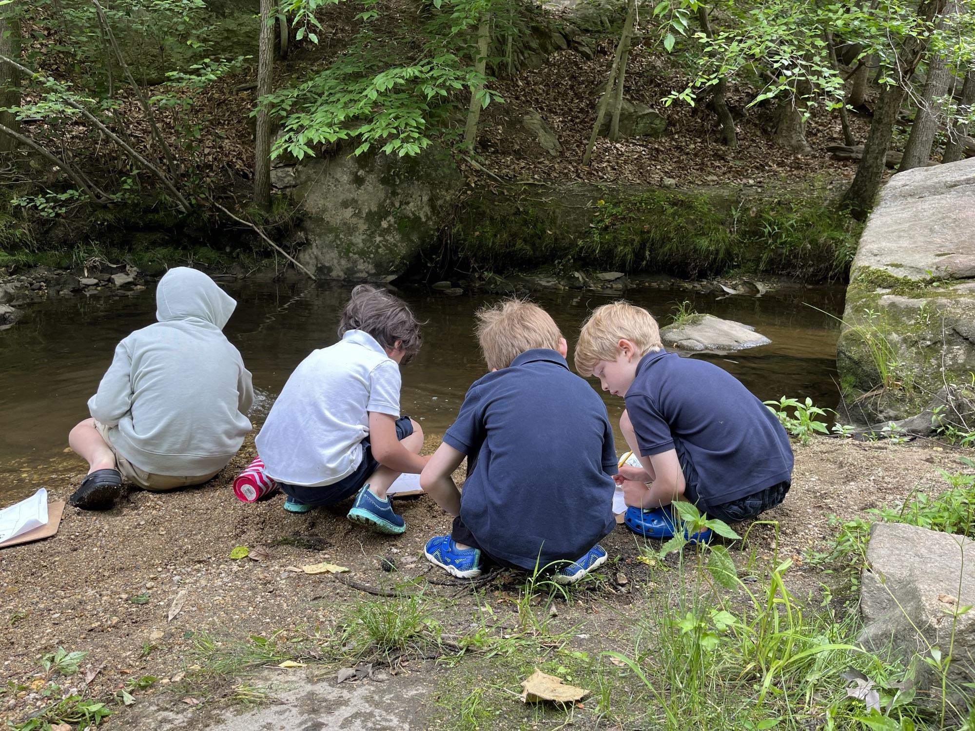 four boys studying beside a stream