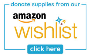 amazon wish list button with a link to the nurse's wish list